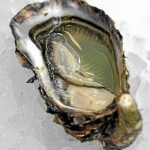 Ouvrir les huitres facilement