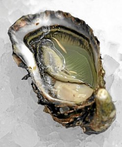 Ouvrir les huitres (en vidéo)