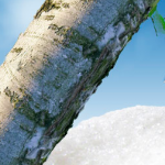 La Toque d'Or : Matériel et ustensiles de cuisine professionnel