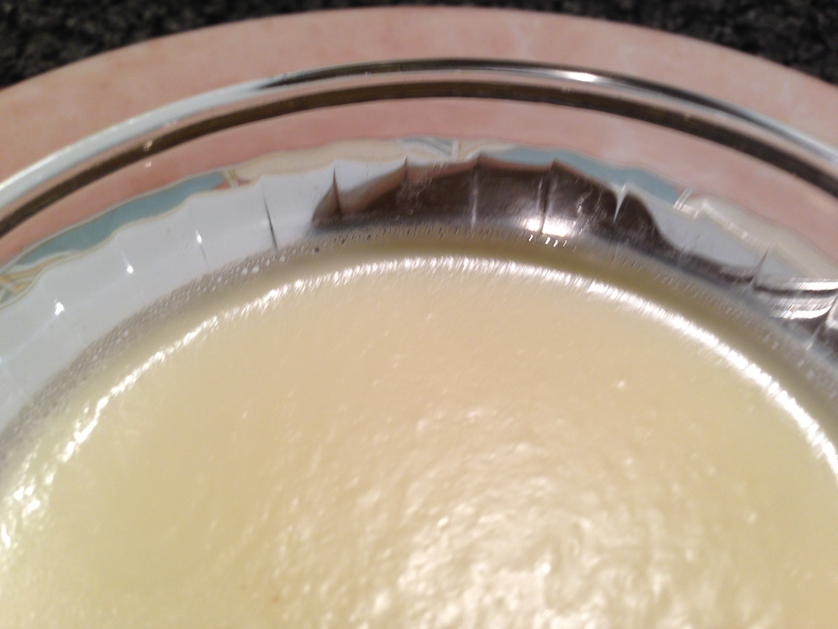 Panna Cotta classique