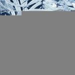 Poularde de Bresse rôtie