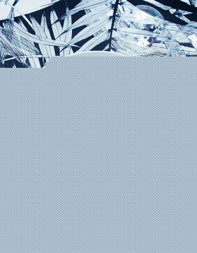 Saumon fumé en escalopine