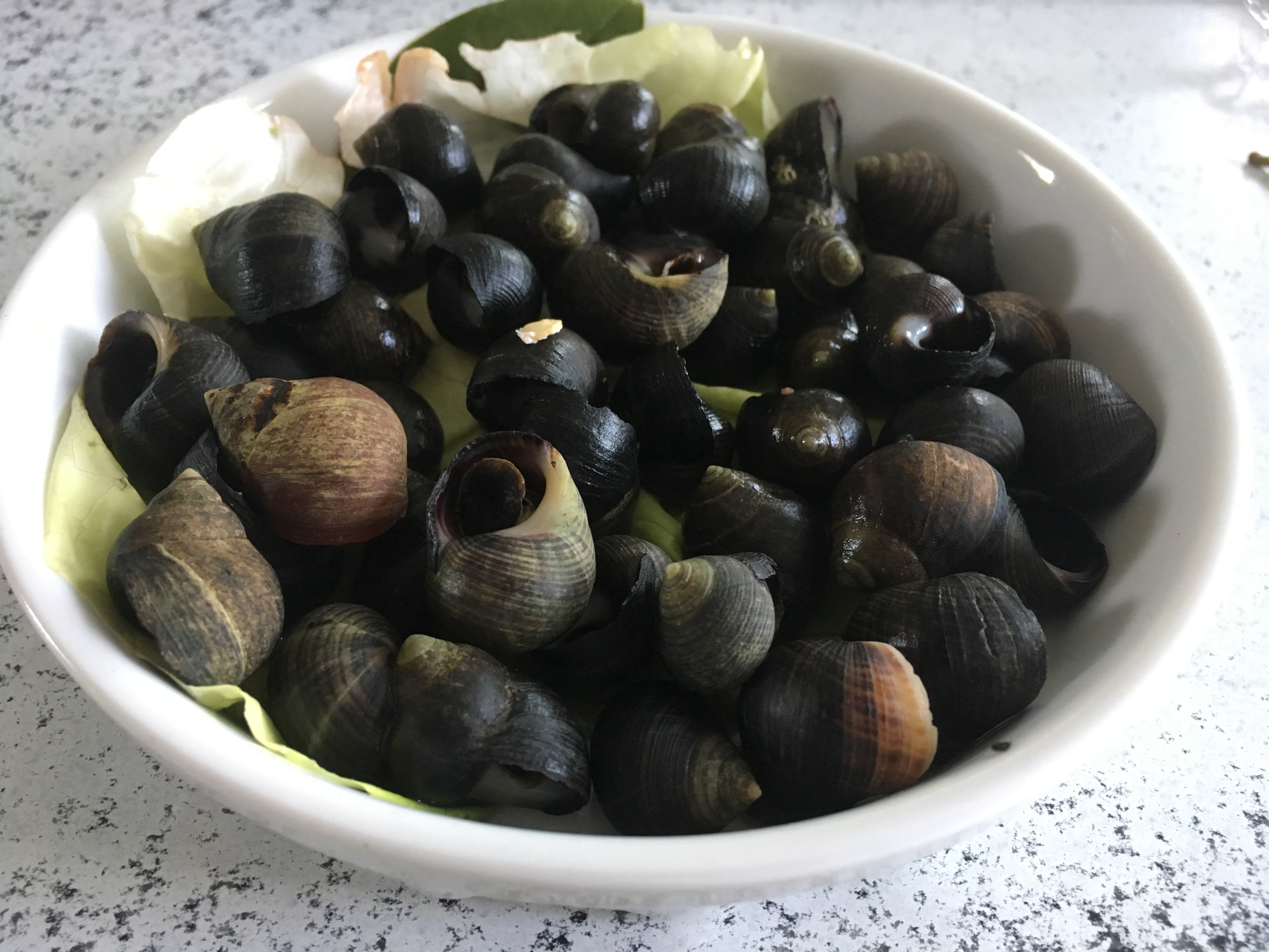 Bigorneaux – Cuisson